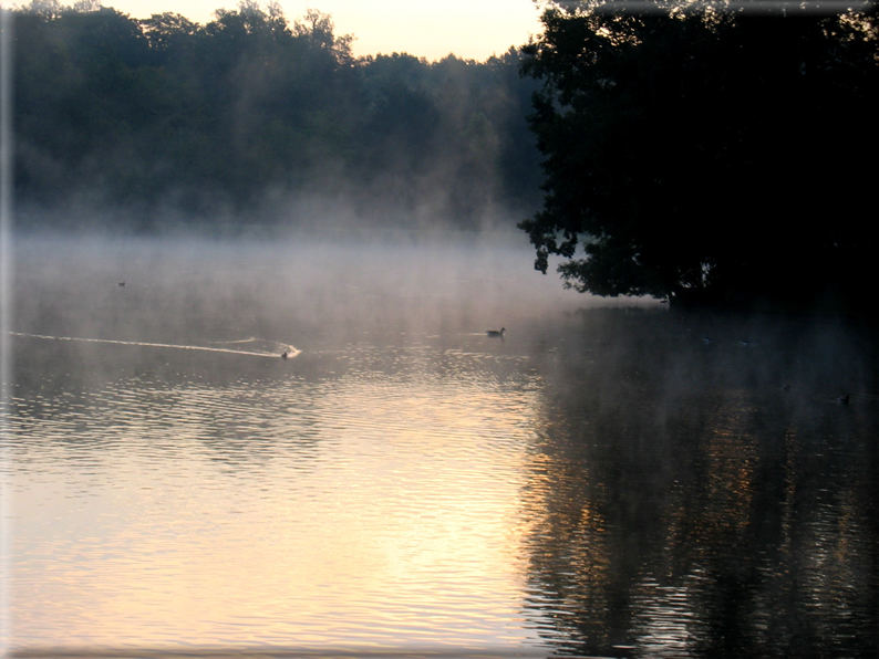 foto Alba al Parco Karlsaue